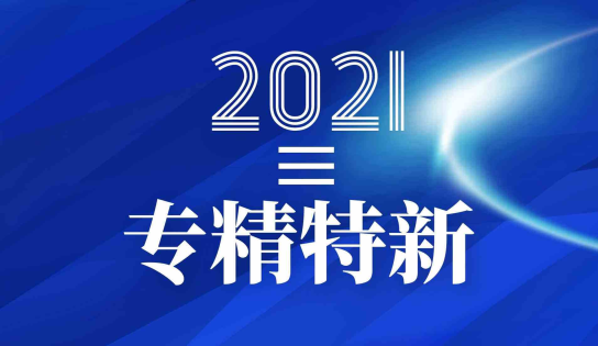 我司荣获浙江省“专精特新”中小企业